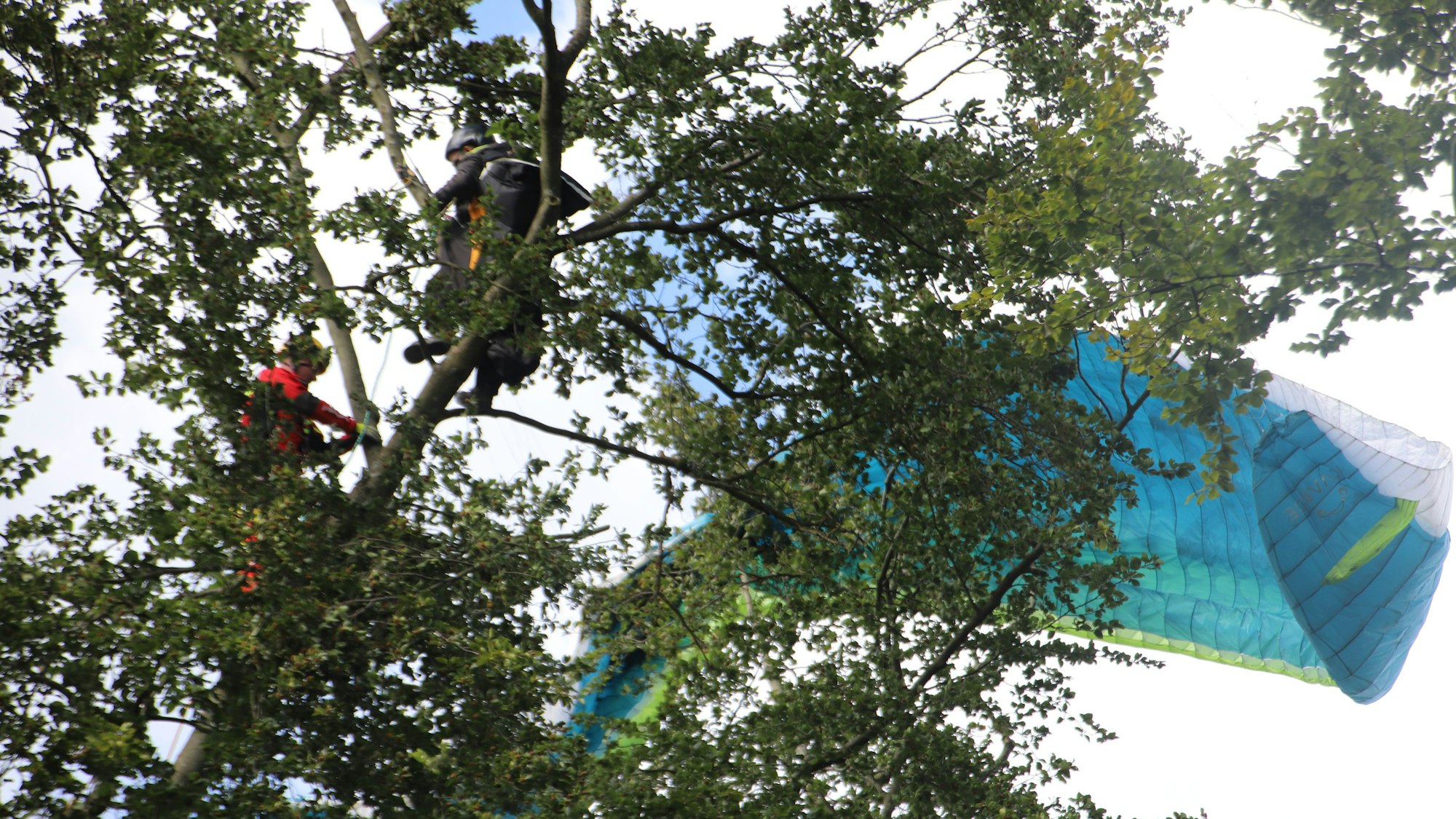 Ein Gleitschirmflieger hängt im Baum, ein Feuerwehrmann ist bei ihm.