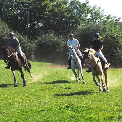 Drei Reiter galoppieren über eine Wiese.