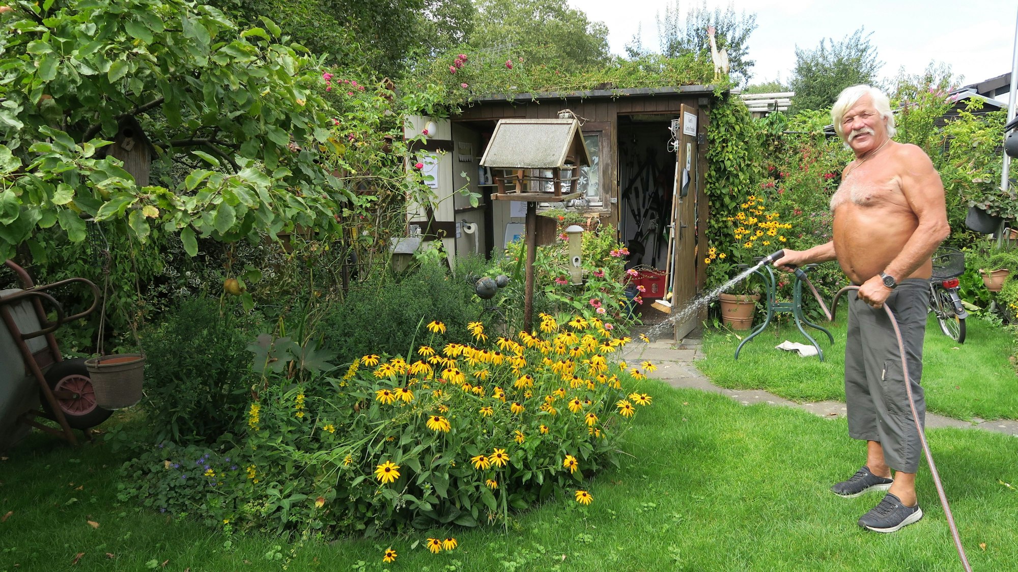 Gerätewart Kurt Pirmin ist als einer der wenigen zufrieden mit der diesjährigen Ernte. Er ist jeden Tag im Kleingarten – auch bei Regen.