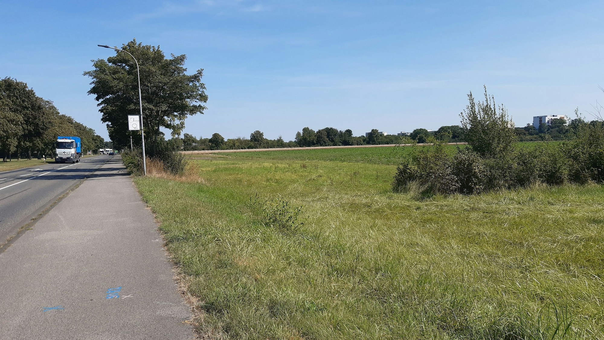 Das Foto zeigt eine Wiese an einer Straße.