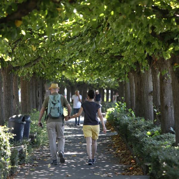 Ein Paar auf dem Fußweg der Lindenallee an der Rheinpromenade.