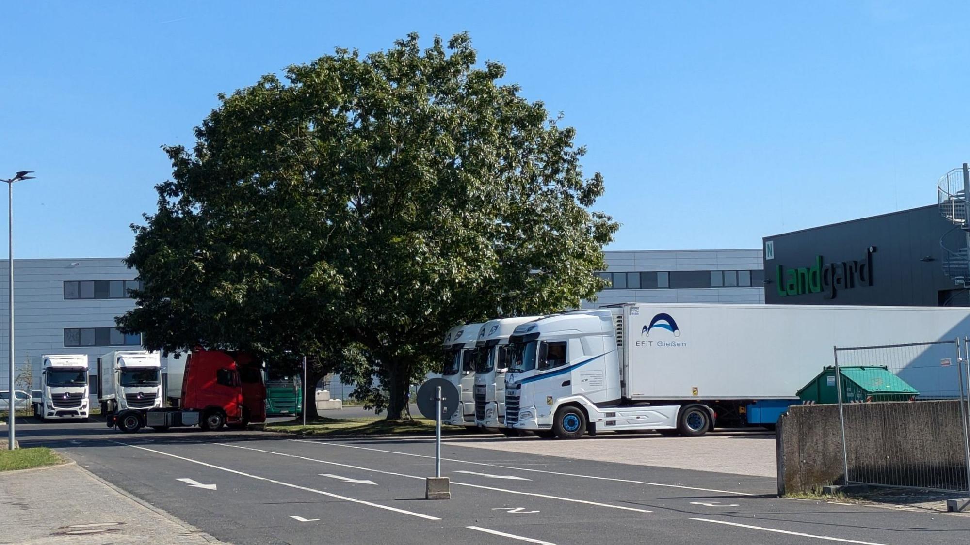 28. August 2024. Bornheim-Roisdorf. Parktiuation Lkw Gewerbegebiet Bornheim-Süd: Auf dem Gelände der Firma Landgard können Lkw, die die Firma beliefern, parken. Es können auch Stellplätze von anderen Firmen gemietet werden. Foto: Frank Engel-Strebel