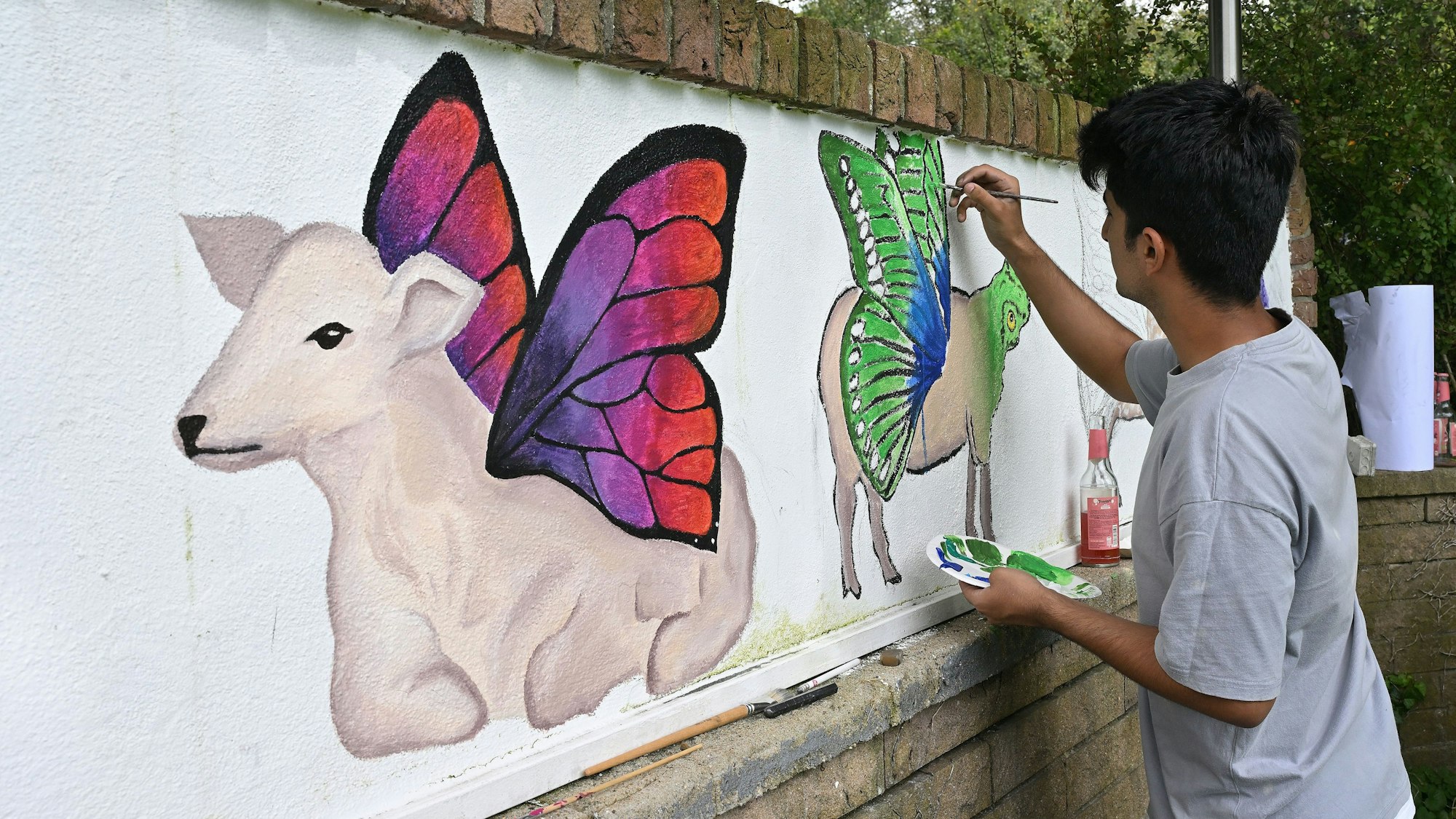Ein Junge malt zwei Schafe mit bunten Flügeln. Einmal in Rot-Tönen, das andere Mal mit Grün- und Blautönen.