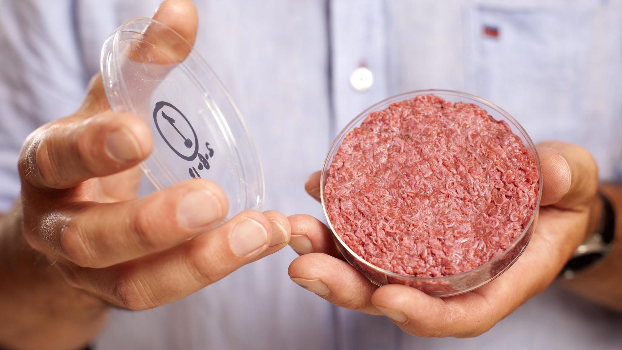 Künstliches Fleisch aus dem Labor in einer Petrischale (Symbolbild aus dem Archiv)