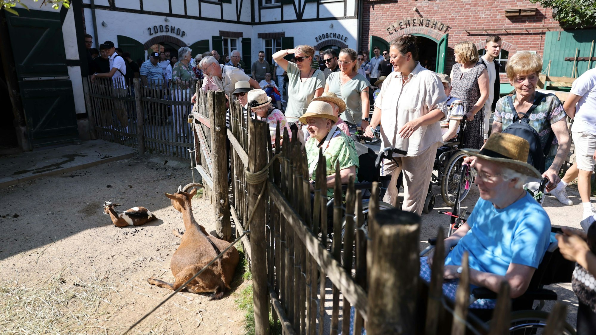 Besuchende am Ziegen-Gehege
