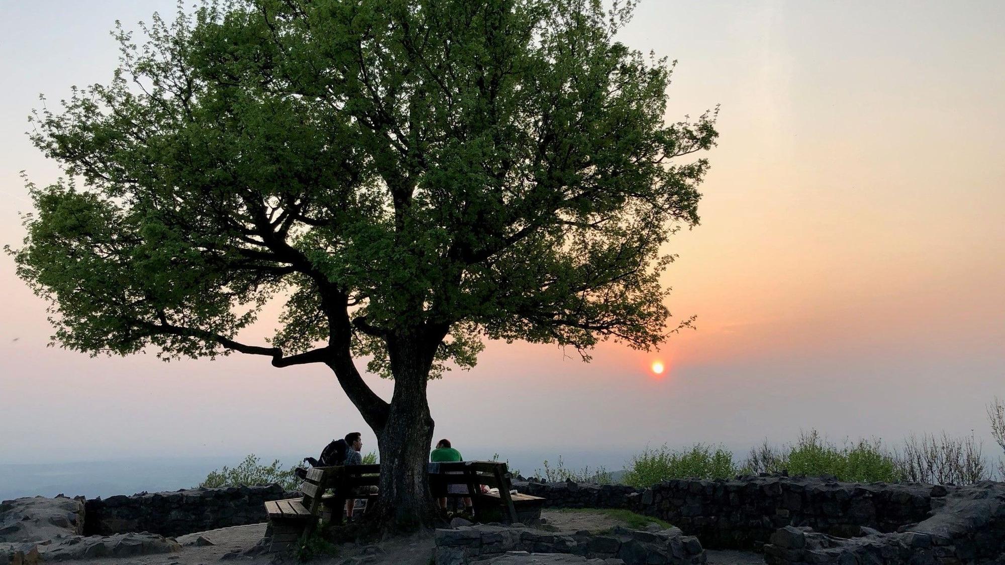 Sonnenuntergang auf der Löwenburg.