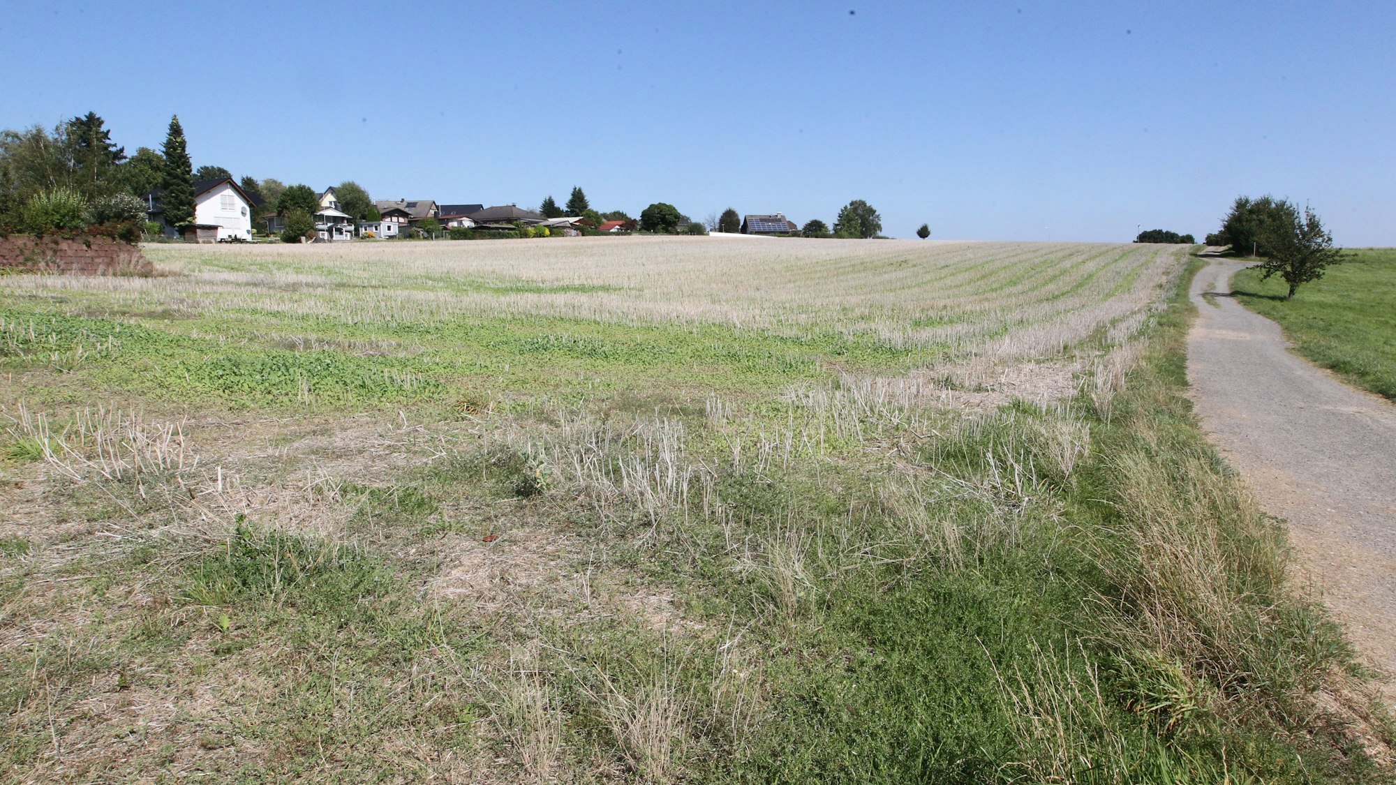Westlich der Scherpemischer Straße soll im Ortsteil Seelscheid ein großes Neubaugebiet entstehen.