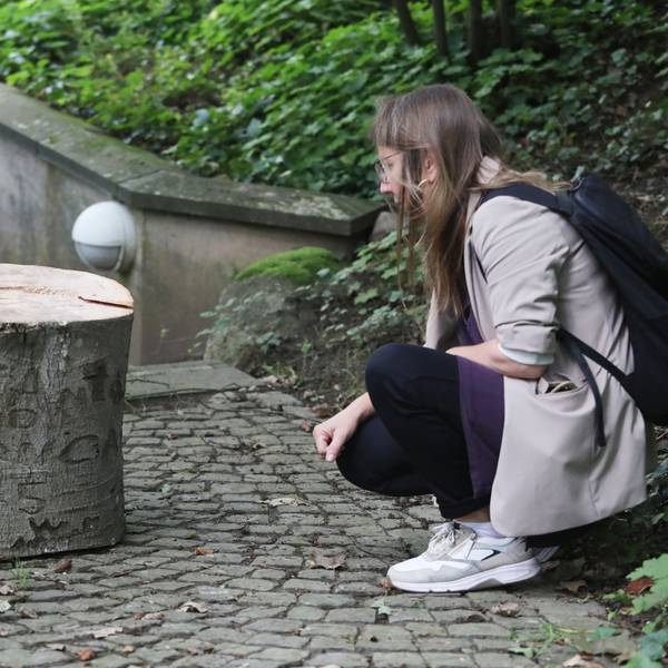 Sigrid Lange, Leiterin des Siebengebirgsmuseums, mit dem Stamm und den Einritzungen in dessen Rinde.