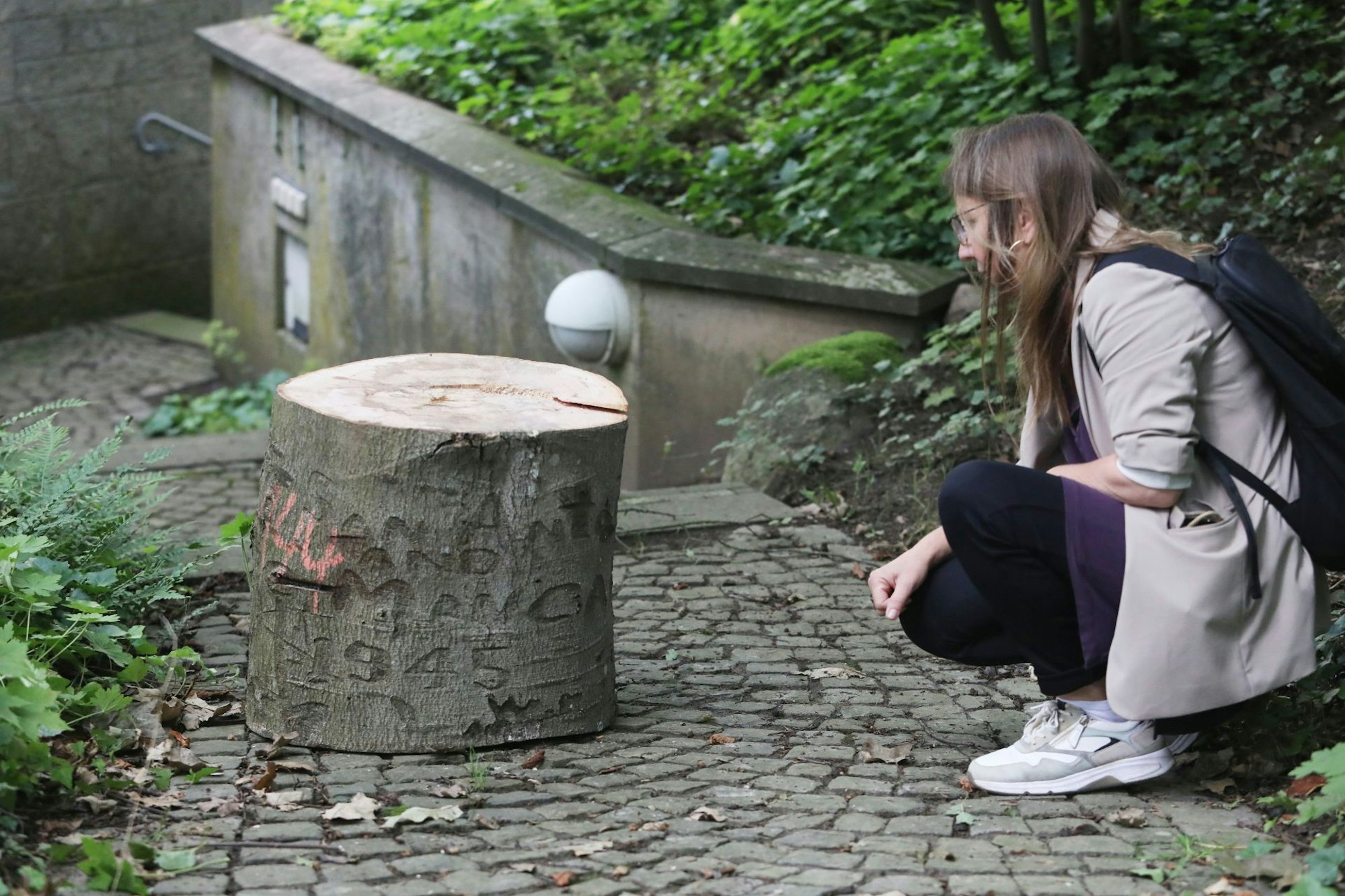 Sigrid Lange, Leiterin des Siebengebirgsmuseums, mit dem Stamm und den Einritzungen in dessen Rinde.