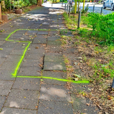 Die Baumwurzeln haben Gehwegplatten angehoben. Die gefährliche Stolperstelle wurde am 27. August von der Stadt markiert.