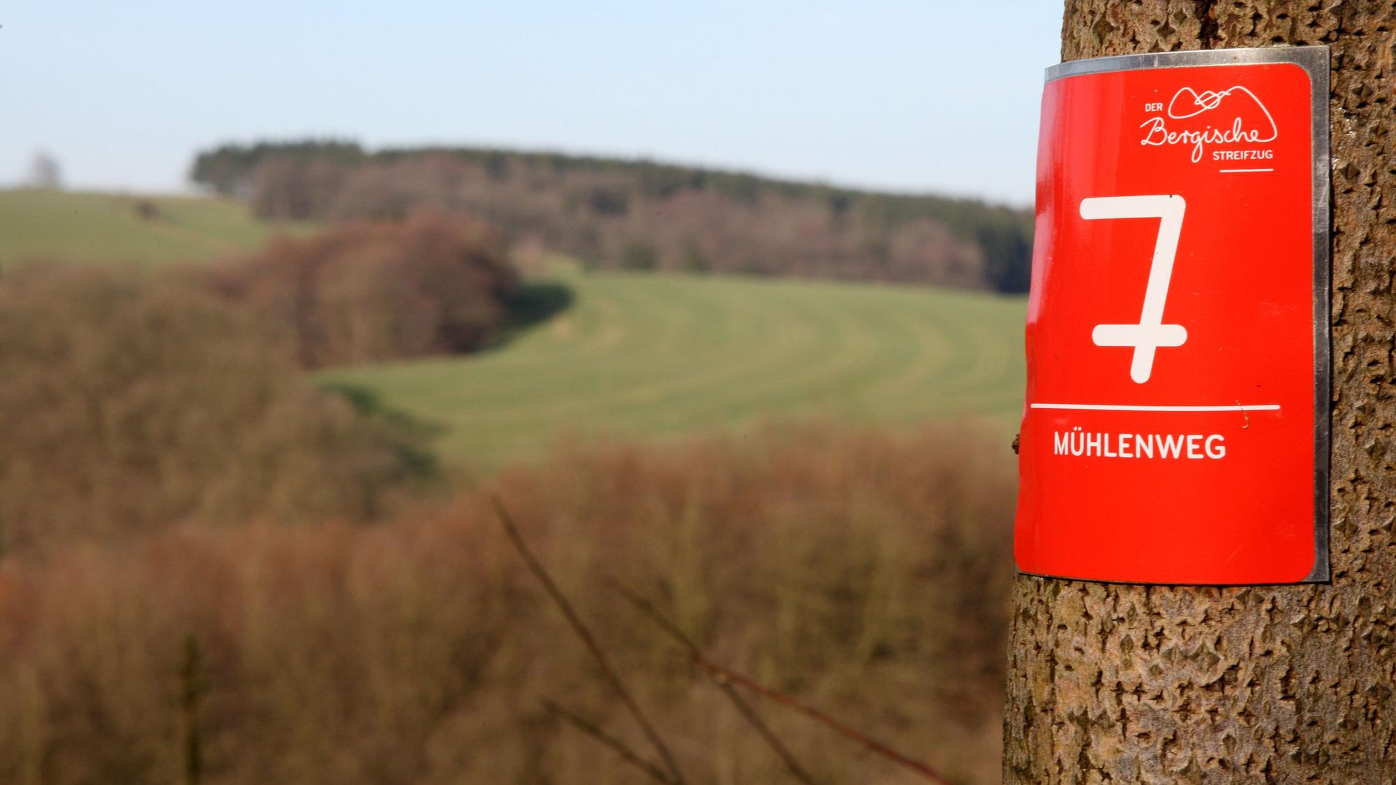 An einem Baum hängt eine Markierung des Kürtener Mühlenwegs, im Hintergrund ist das Sülztal bei Kürten zu sehen.