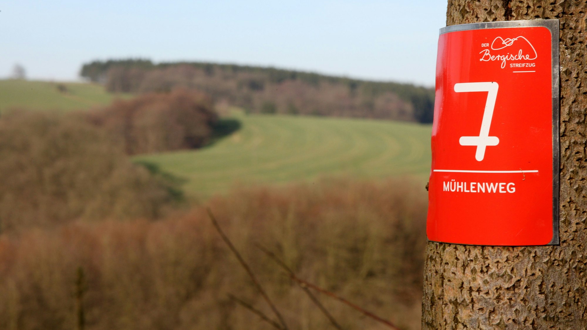An einem Baum hängt eine Markierung des Kürtener Mühlenwegs, im Hintergrund ist das Sülztal bei Kürten zu sehen.