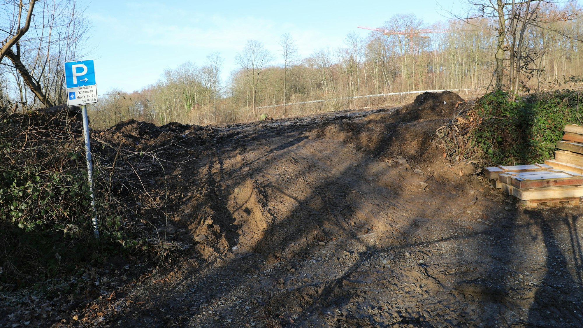 Ein gerodetes Grundstück.