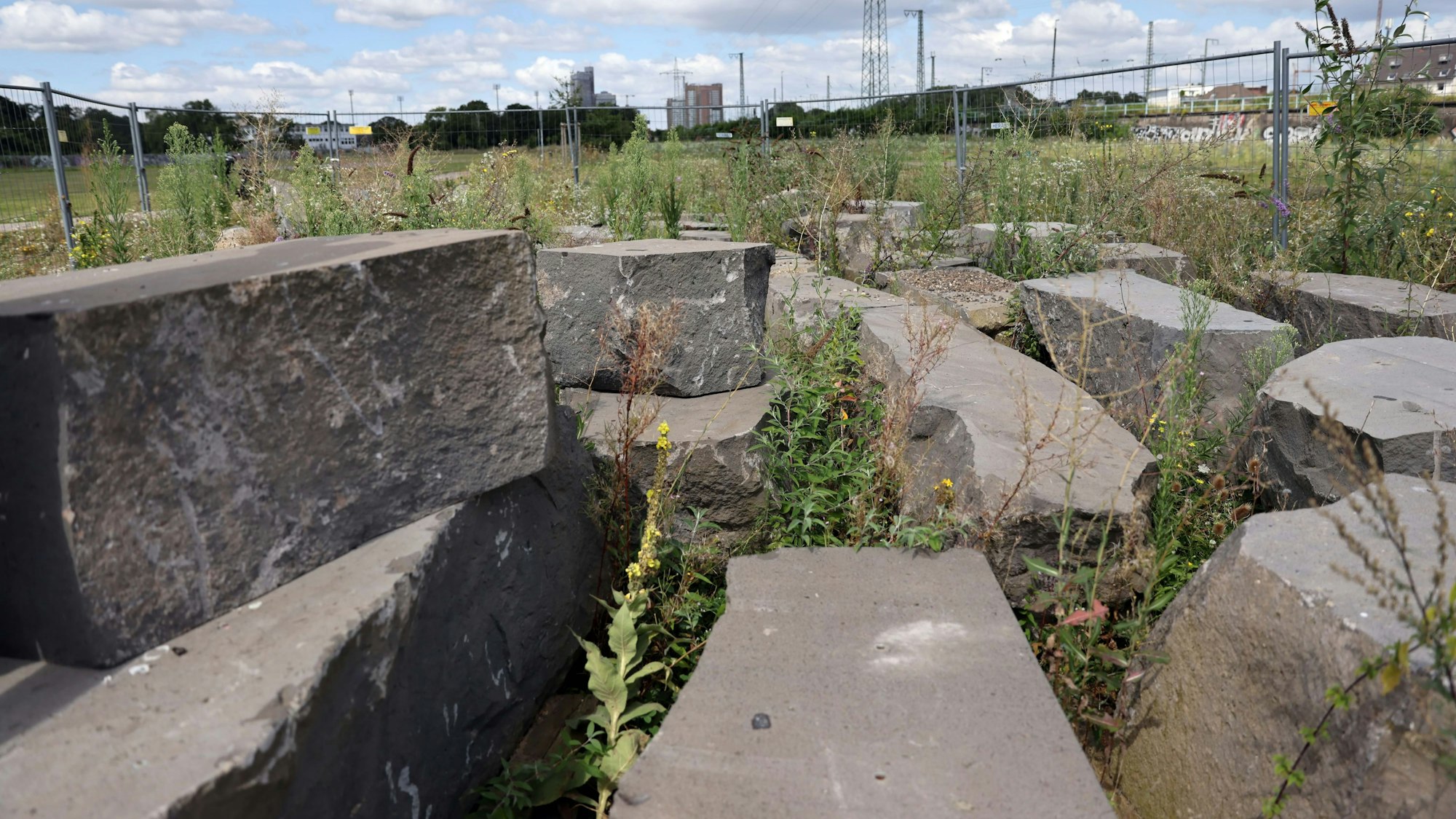 Die Eidechsen-Felsen im Osten des Pionierparks.