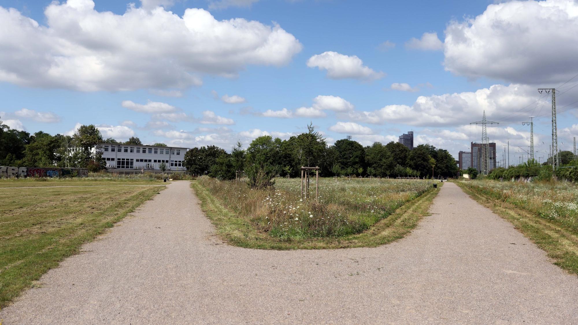 Viel Platz zum Spazieren gibt es im Pionierpark.
