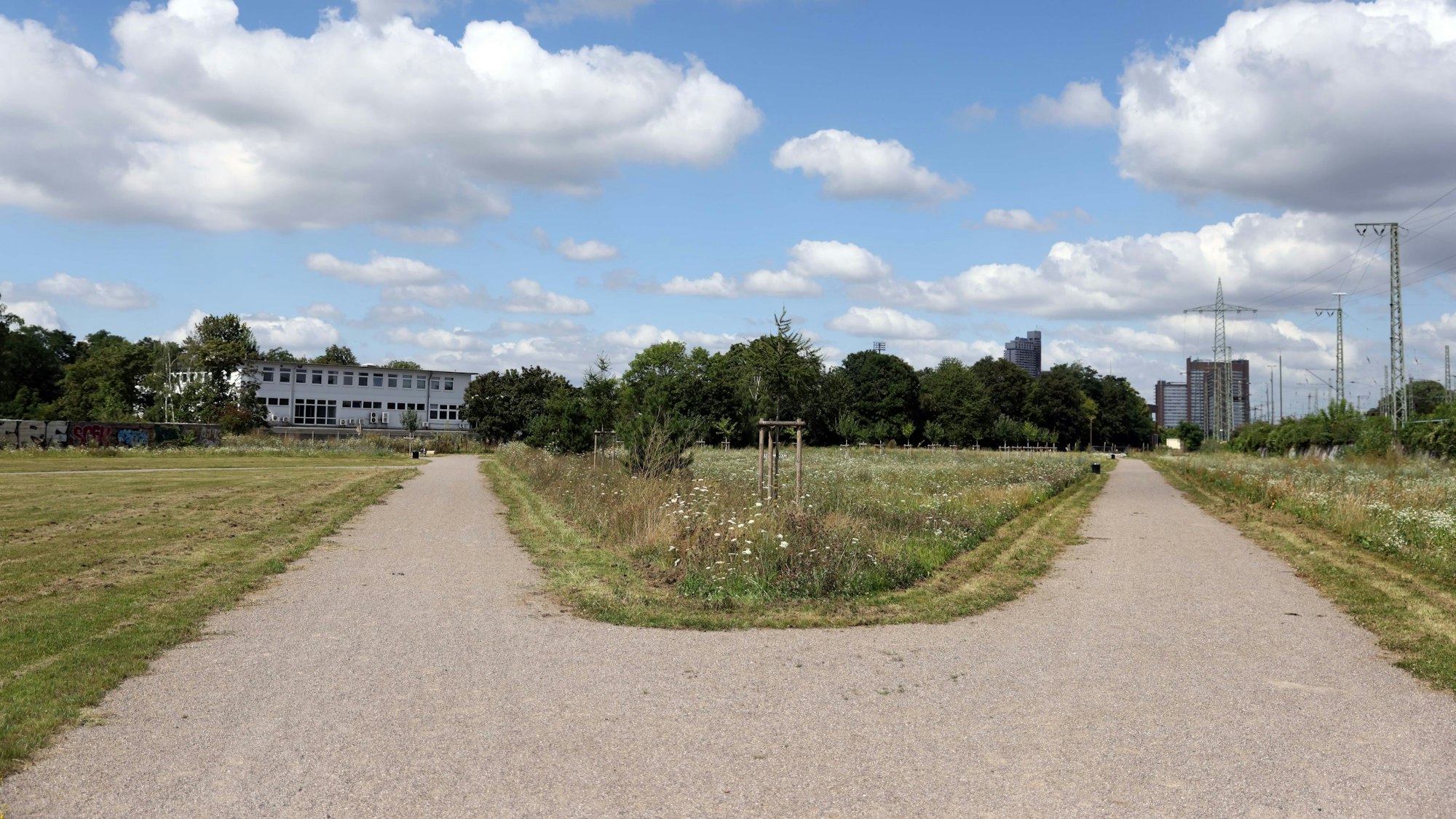 Viel Platz zum Spazieren gibt es im Pionierpark.