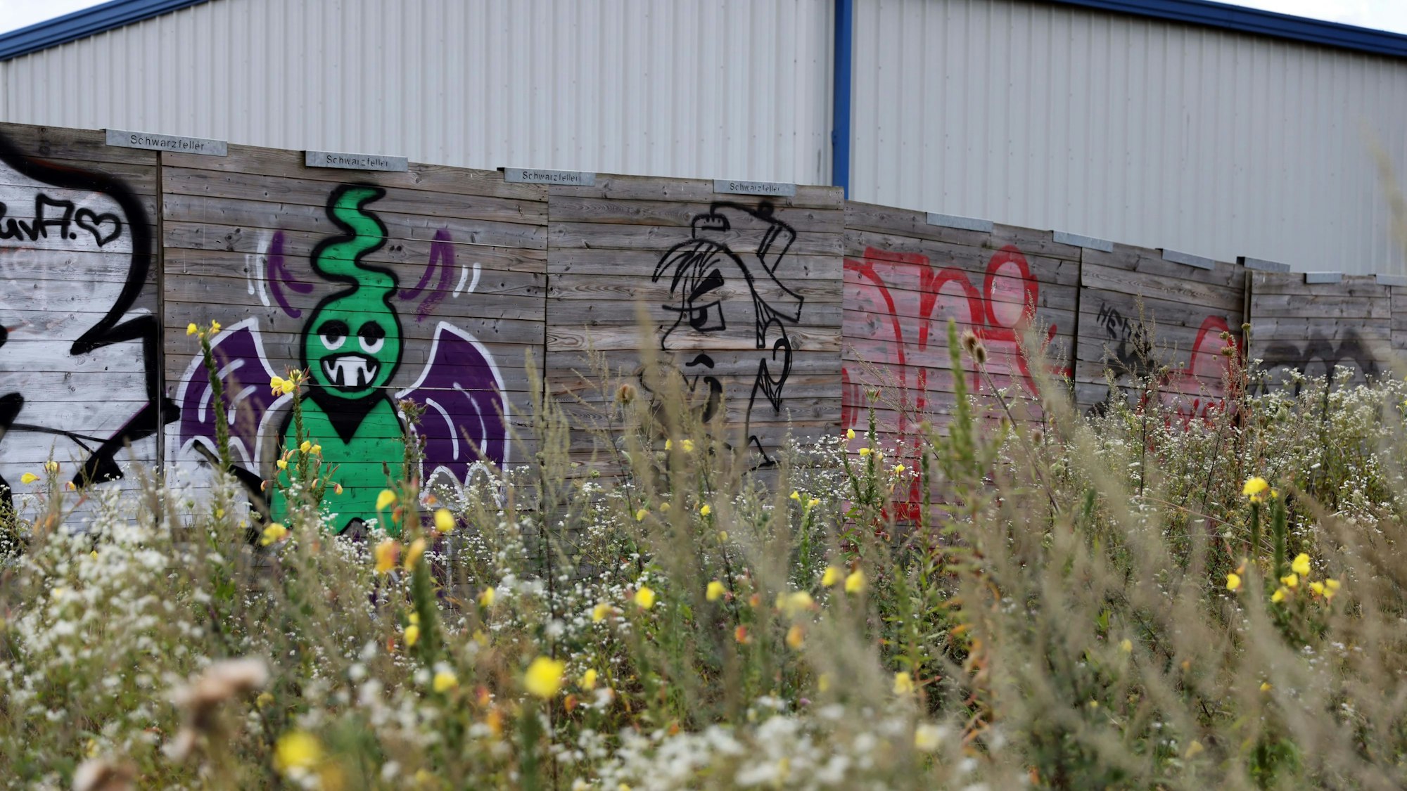 Natur trifft auf Streetart: Bunte Wildblumen vor den Holzzäunen des Großmarkt-Geländes.
