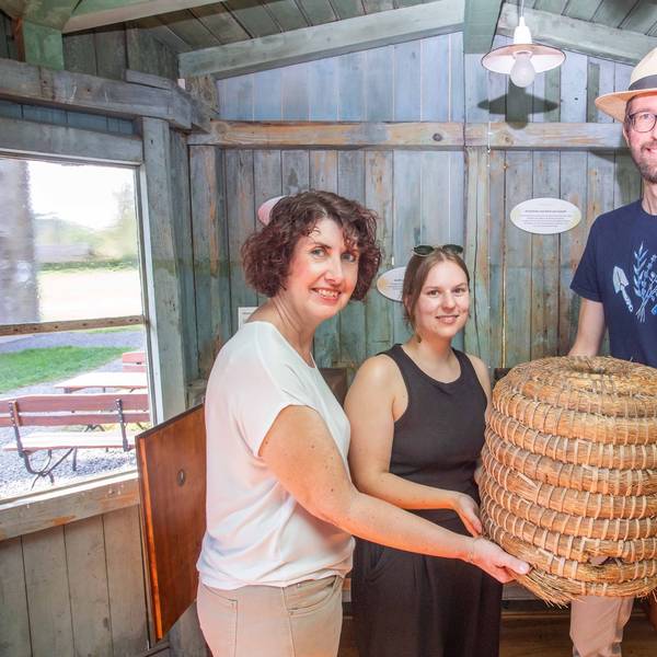 Die Ausstellung im neuen Bienenhaus stellten (v.l.) Rosemarie Katzenbach, Carolin Gilgenbach und Stephan Hahn vor.