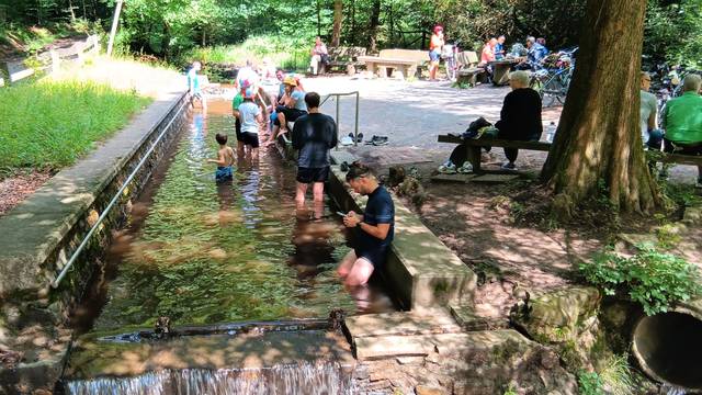 Zu sehen sind mehrere Personen, die sich in einem Wassertretbecken im Wald abkühlen.