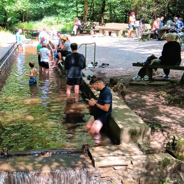 Zu sehen sind mehrere Personen, die sich in einem Wassertretbecken im Wald abkühlen.