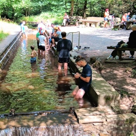 Zu sehen sind mehrere Personen, die sich in einem Wassertretbecken im Wald abkühlen.
