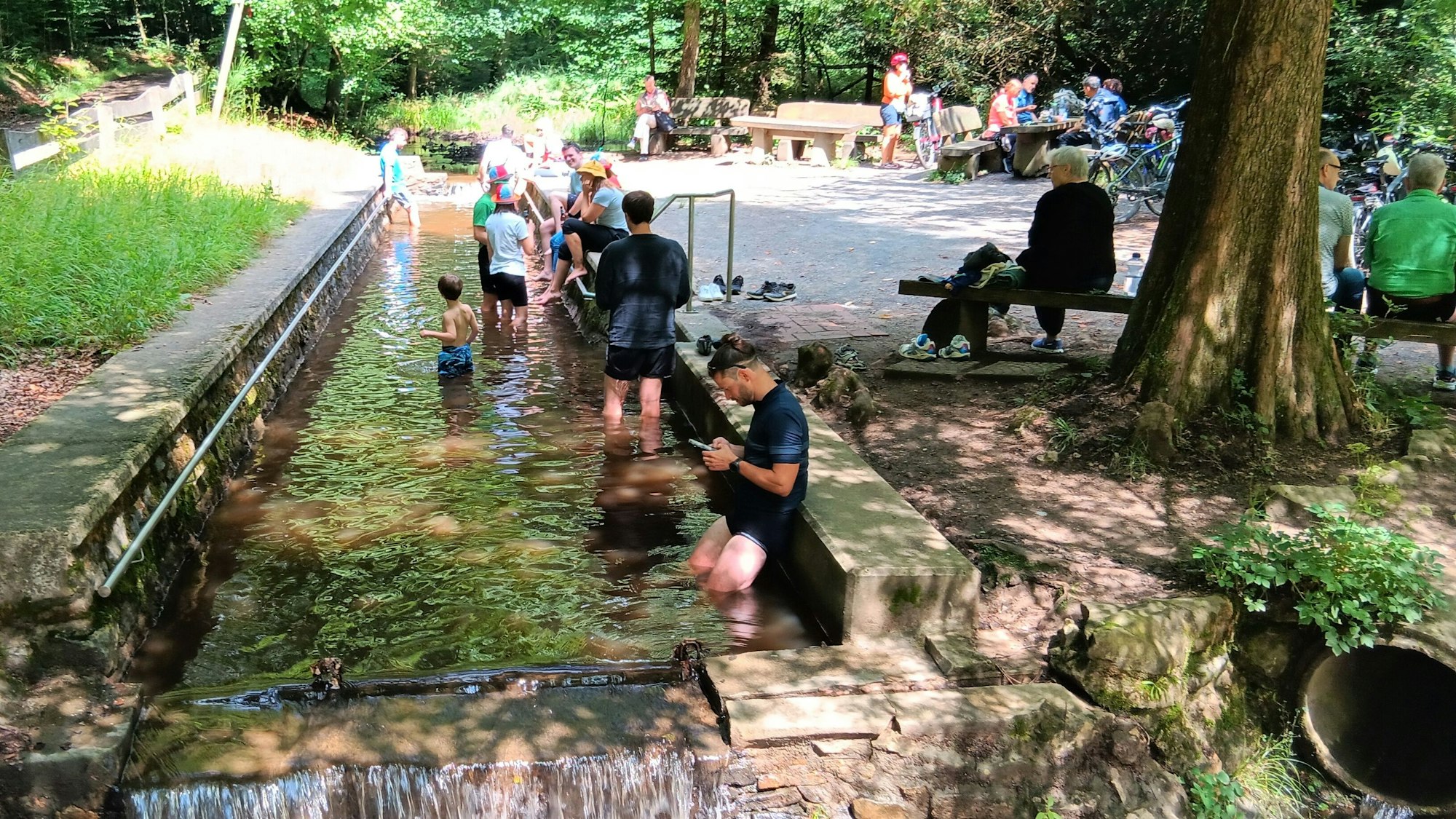 Zu sehen sind mehrere Personen, die sich in einem Wassertretbecken im Wald abkühlen.