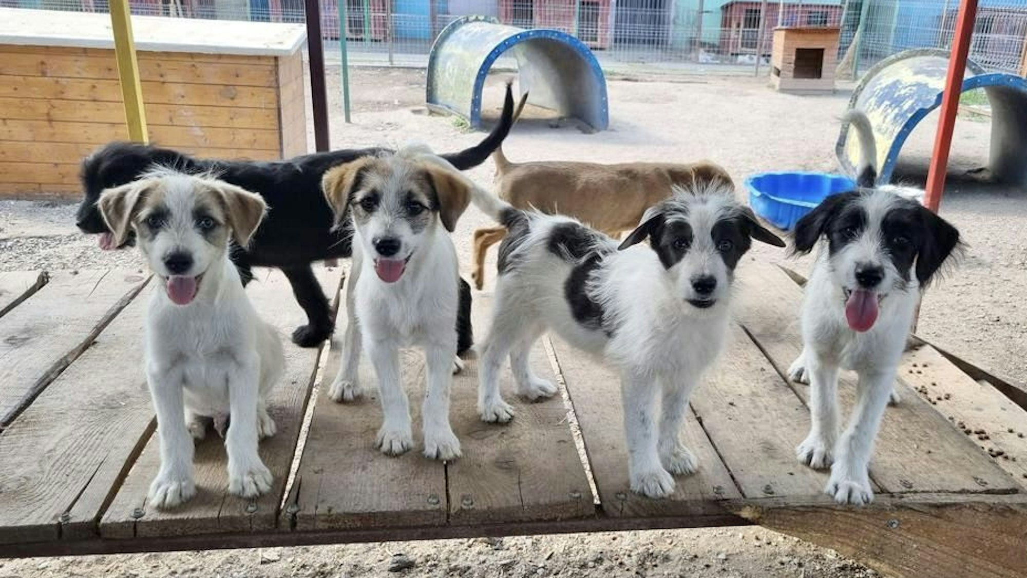 Zu sehen ist ein weißes Gebäude, dessen Obergeschoss mit Holz verkleidet ist.