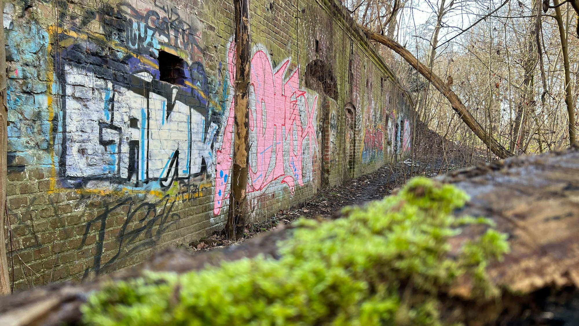 Das Zwischenwerk IXa in Westhoven soll vor Unbefugten gesichert und für Führungen begehbar sein.
