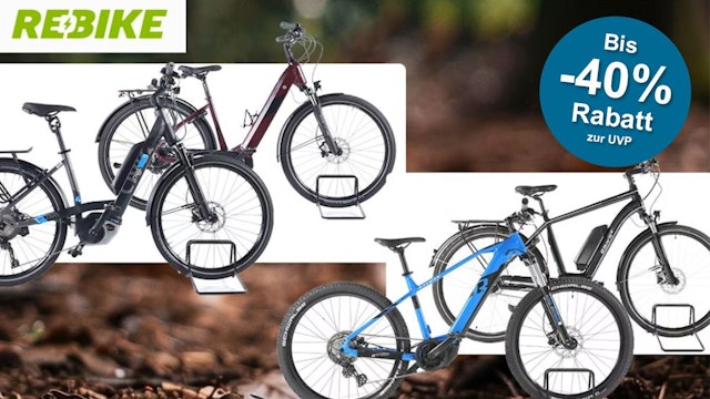 Verschiedene E-Bike Modelle sind vor einem Waldboden angeordnet.