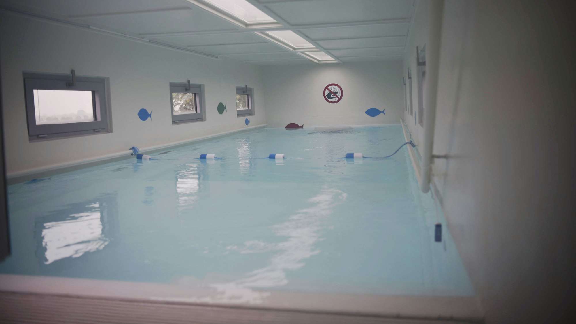 Das Bild zeigt das Innenleben des Schwimmcontainers in Zülpich.