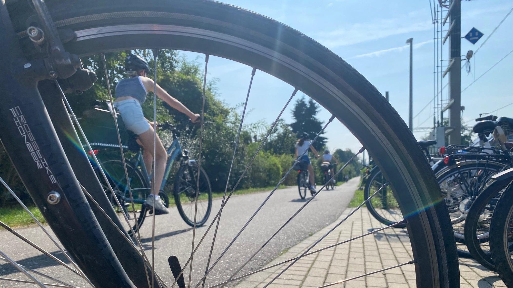 Zu sehen sind Radfahrer auf dem Nord-Süd-Weg.