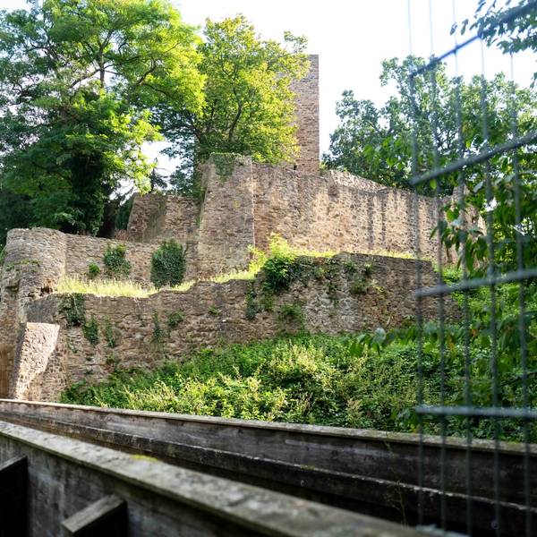 Blick auf Ruinen in einer grünen Umgebung