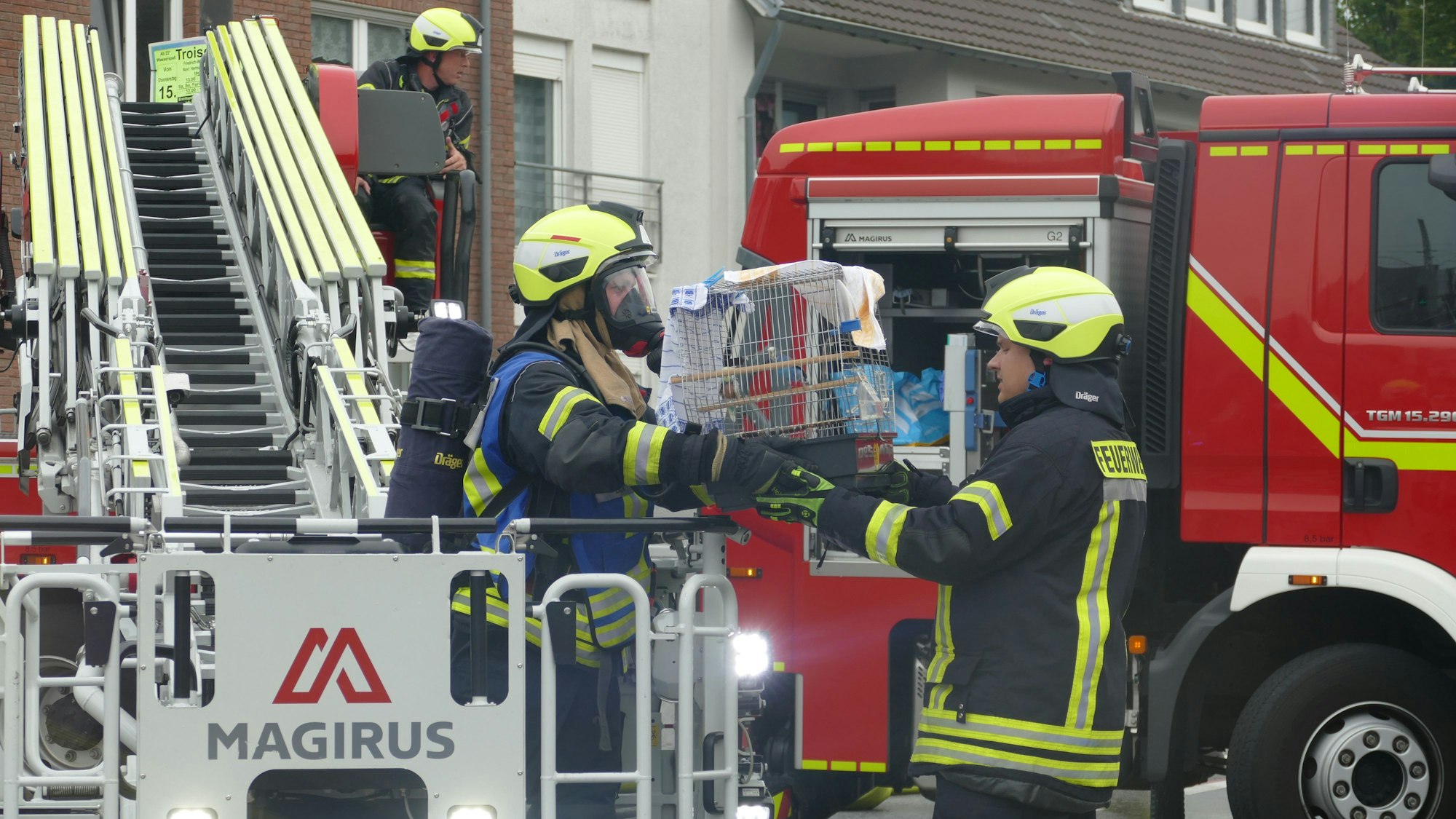 Aus dem Drehleiterkorb hinaus übergibt ein Feuerwehrmann einen Käfig an einen Kameraden.