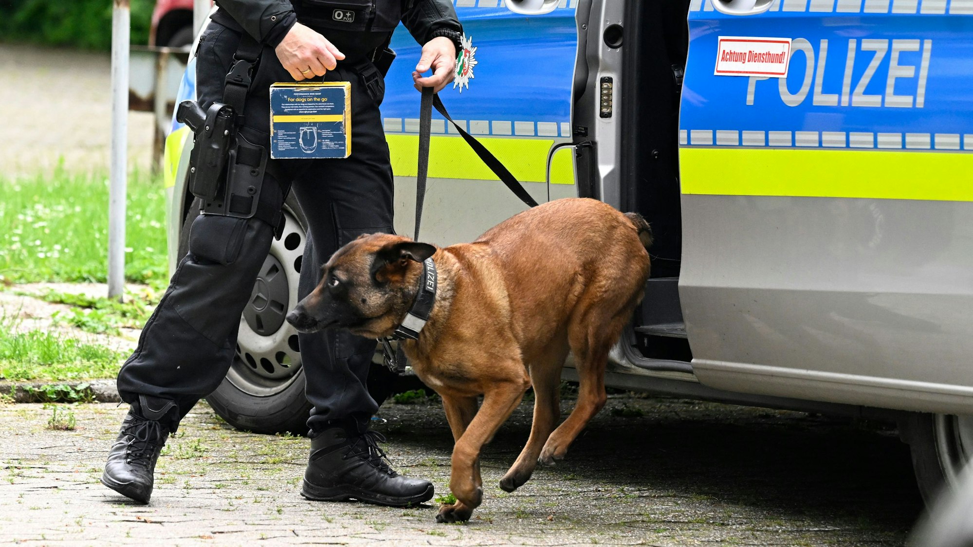 Ein Polizist führt einen Spurensuchhund an den Tatort