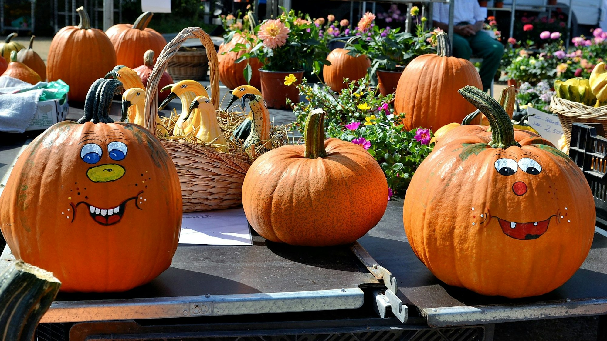 Bemalte Kürbisse stehen vor weiteren Kürbissen und Blumen auf einer Ablage.