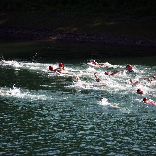 Zahlreiche Schwimmer bei einem Wettbewerb in einer Talsperre.