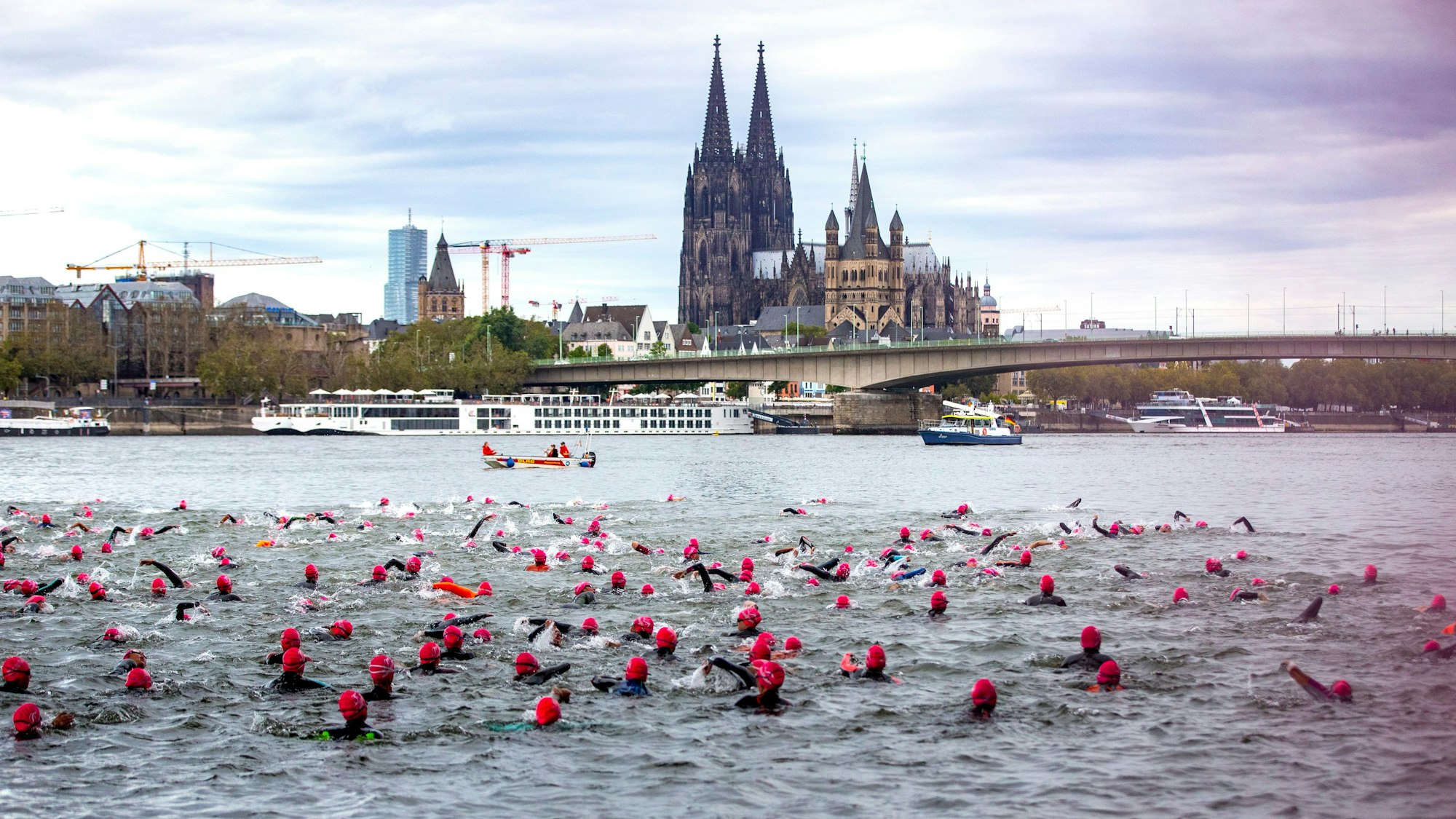 Viele Leute mit roter Badekappen schwimmen um Rhein. Im Hintergrund ist der Kölner Dom zu sehen.