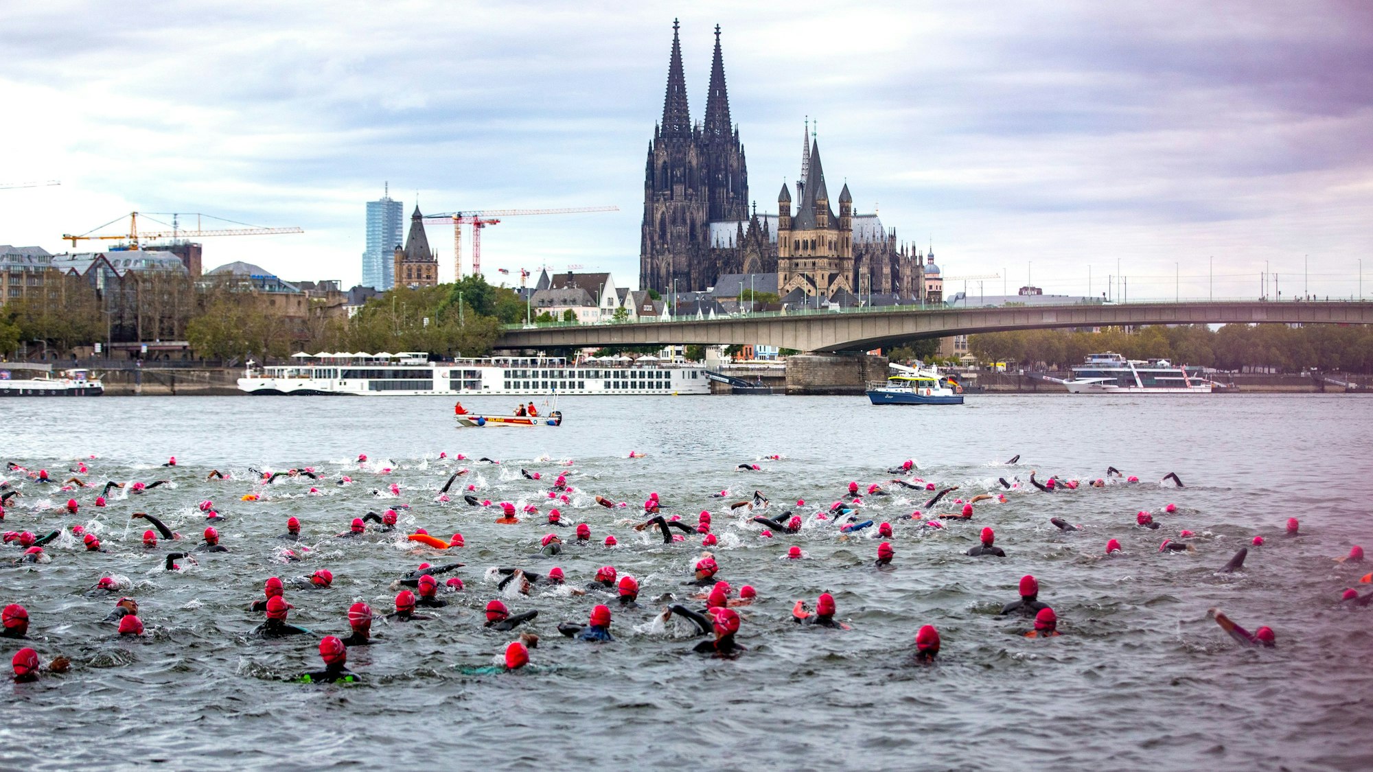 Schwimmen im Rhein gehört beim Triathlon in Köln dazu.Dieses Jahr verzeichneten die Veranstalter eine Rekordteilnahme.