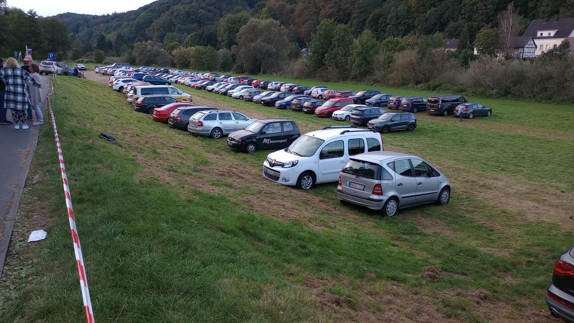 Autos parken auf einer Wiese.