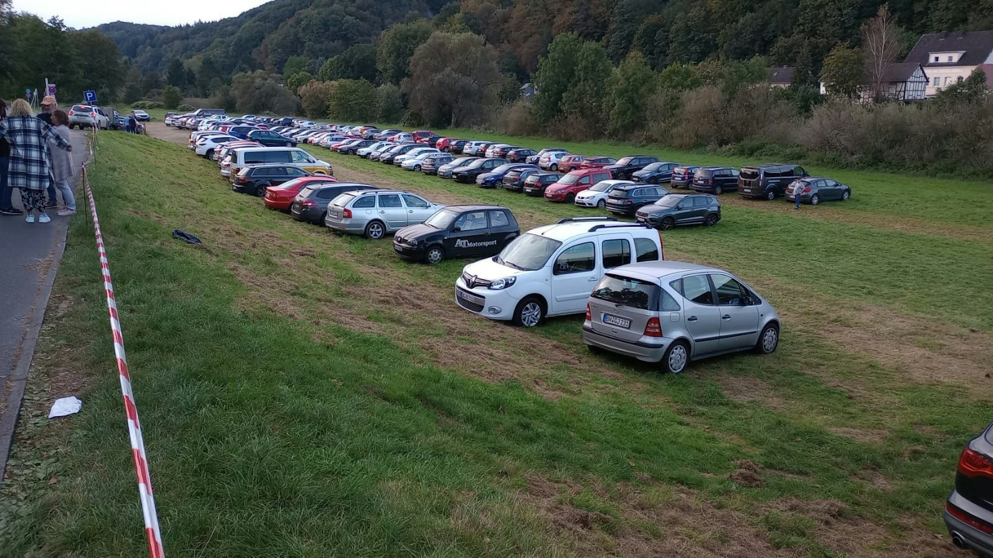 Autos parken auf einer Wiese.