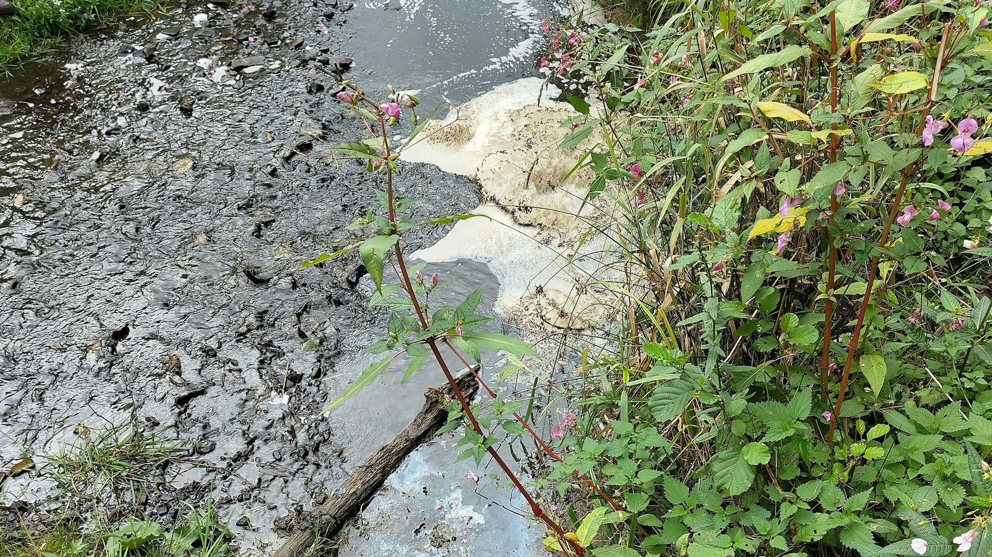 Ein verschmutztes Gewässer.
