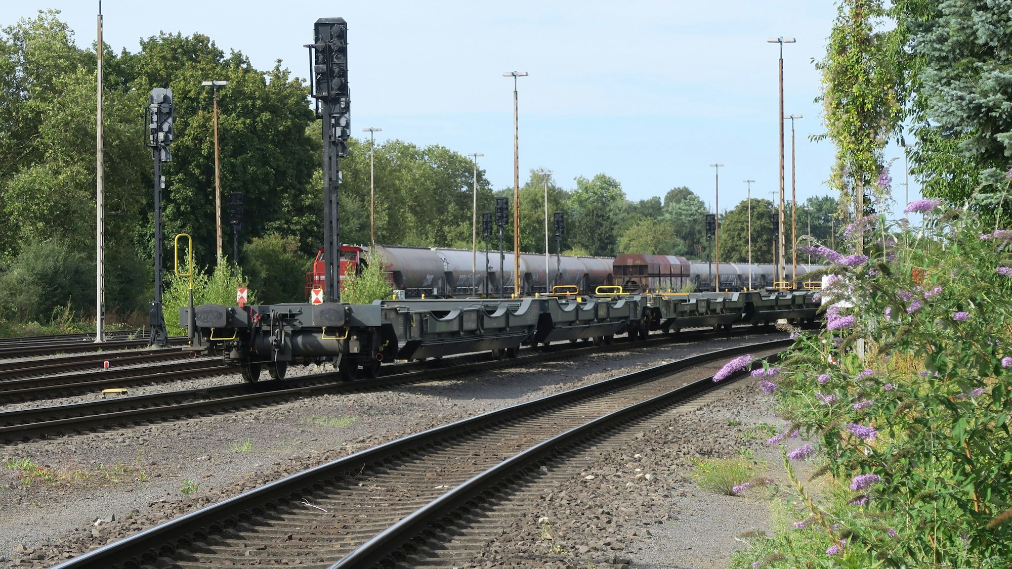 Die HGK-Trasse in Höhe vom Goldfasanenweg.