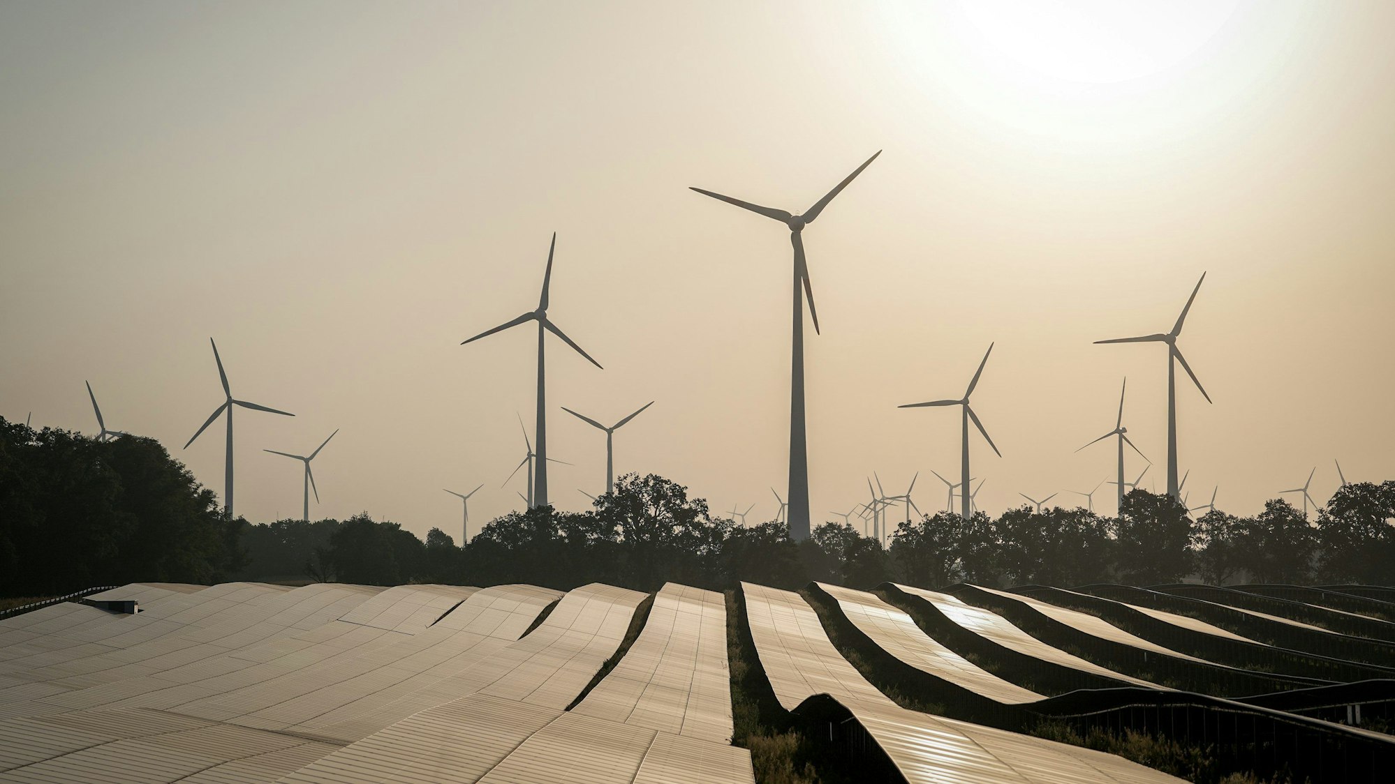 Ein Solarfeld reflektiert vor Windkraftanlagen die Sonnenstrahlen.