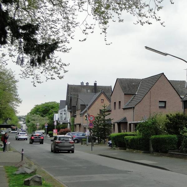 Bäume könnten an heißen Tagen Schatten spenden, doch das geht fast zwangsläufig mit einem Verlust an Parkplätzen einher.