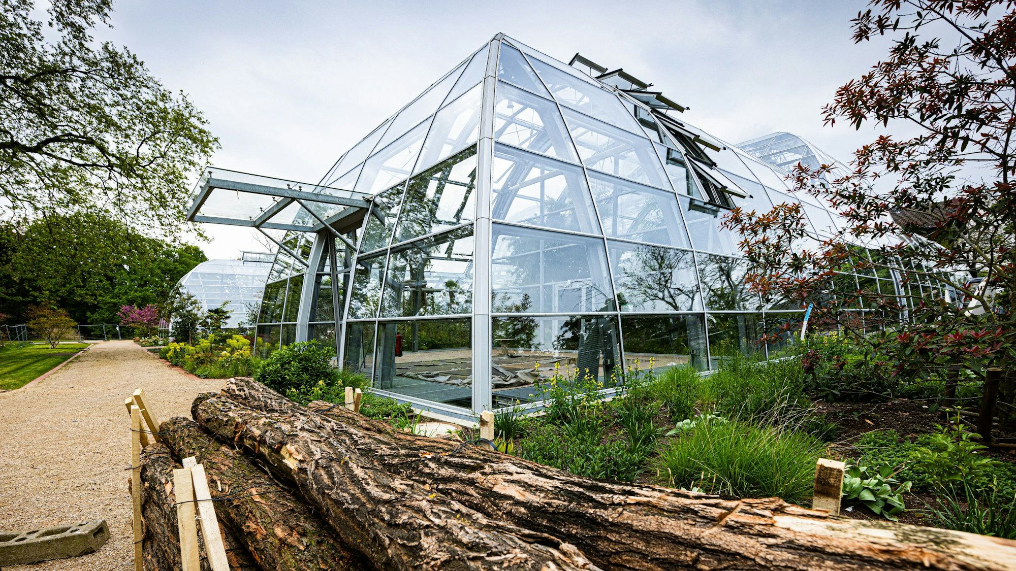 Noch immer geschlossene Gewächshäuser.