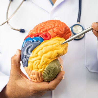 Ein Arzt hält ein Modell eines Gehirns und deutet mit einem Stift auf einen Bereich des Modells.