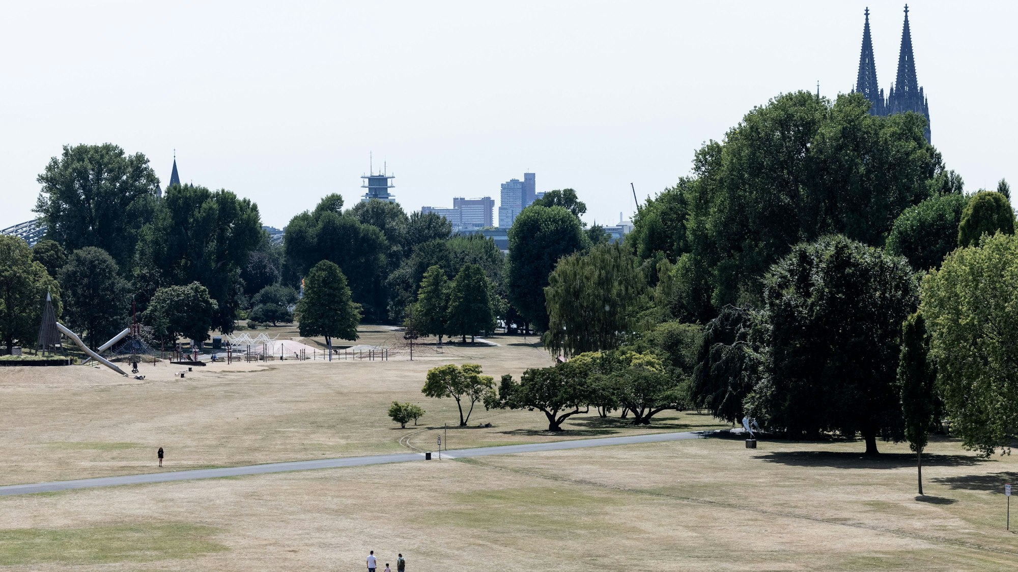 Nur wenige Menschen halten sich bei Hitze im vertrockneten Rheinpark am Rheinufer auf - im Hintergrund der Kölner Dom.