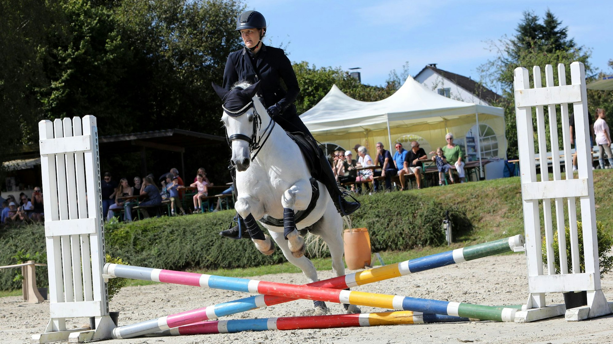 Hannah Wolff auf Ballylee Duchess