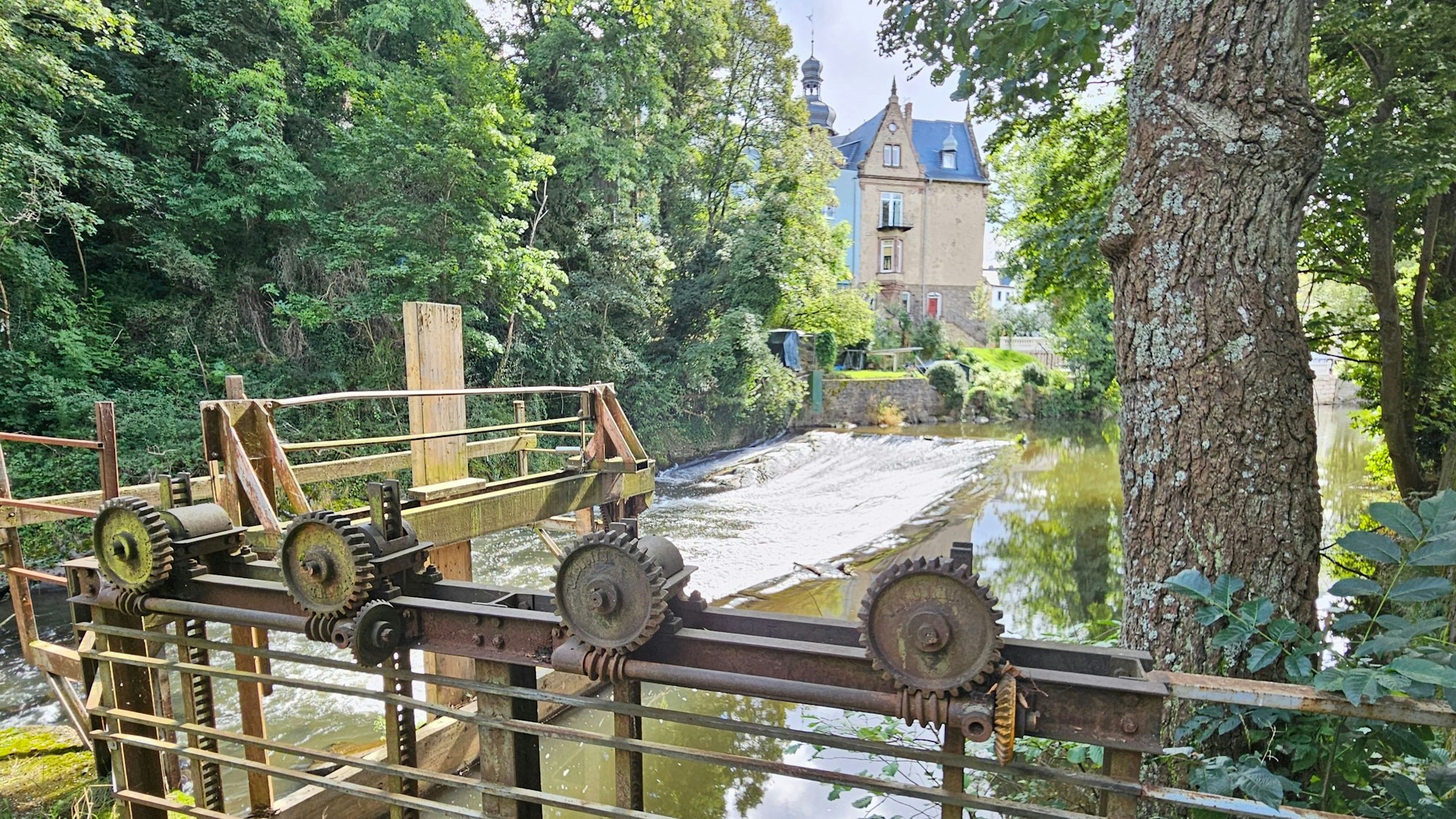 Bick auf die alte Wehranlage an der Urft.