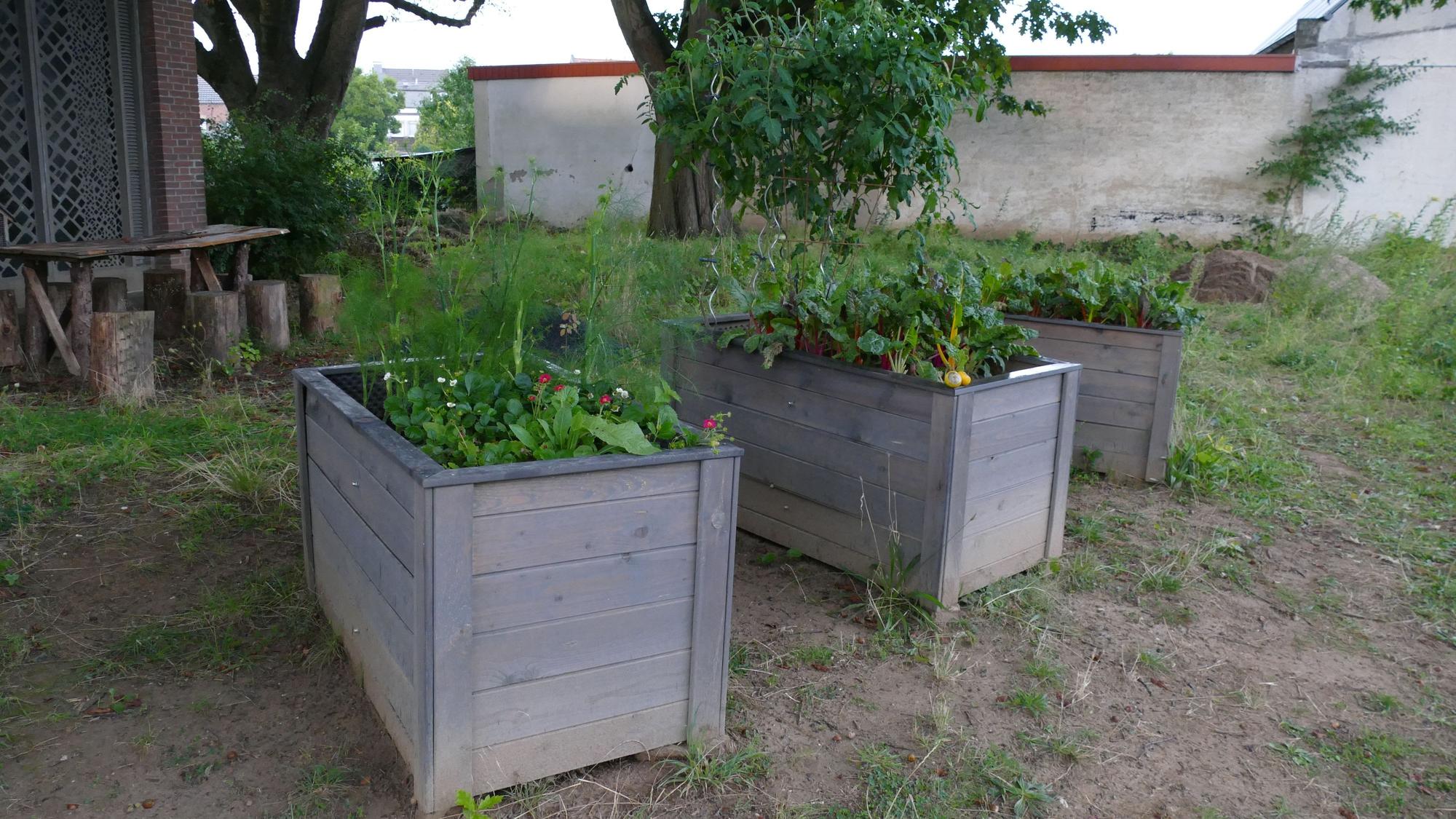 Pflanzenkästen stehen in einem Garten.